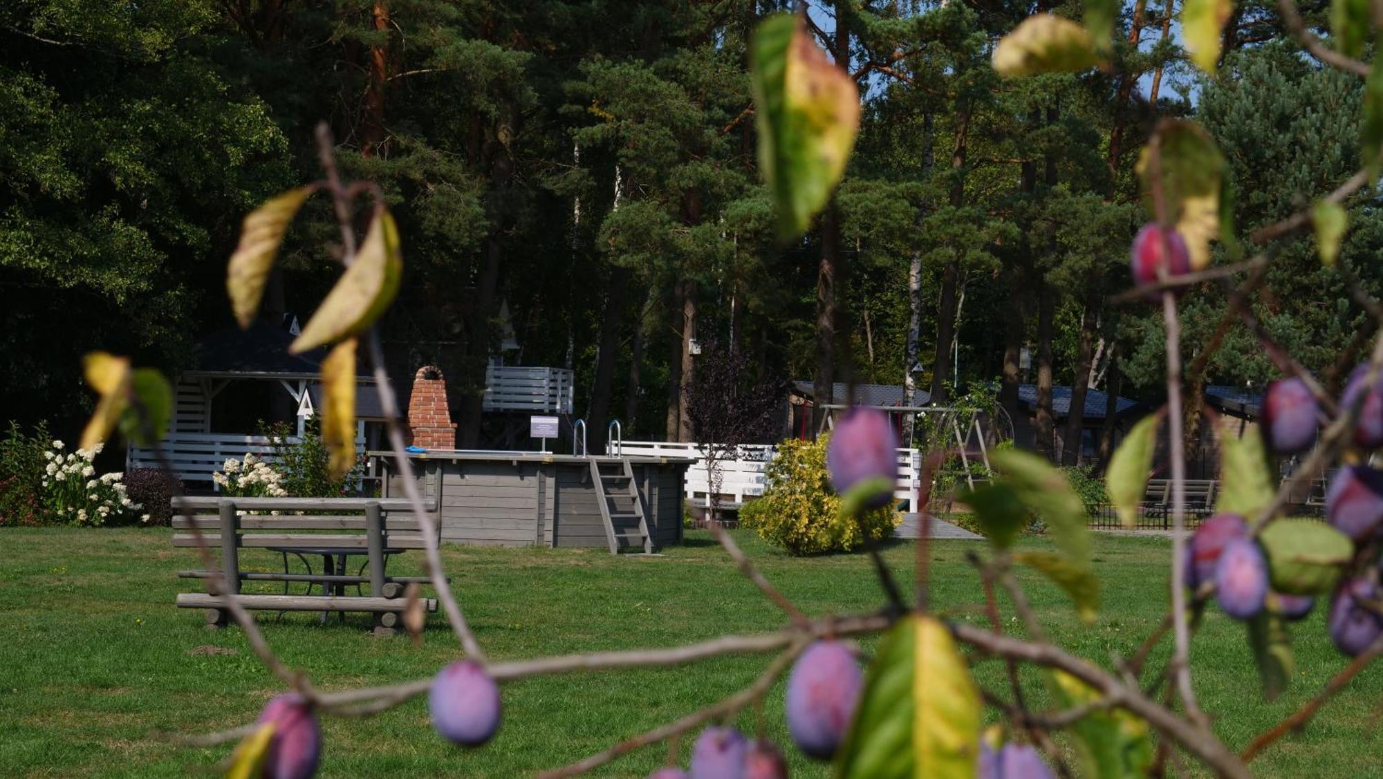 Vila Przylesie21 Ustka Exteriér fotografie
